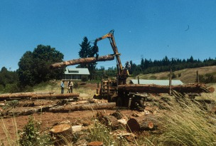 Log loading in Washington