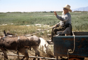 In Pahrump Nevada we meet Herman Morgart, and have great biscuits at the Cotton Pickin' Cafe