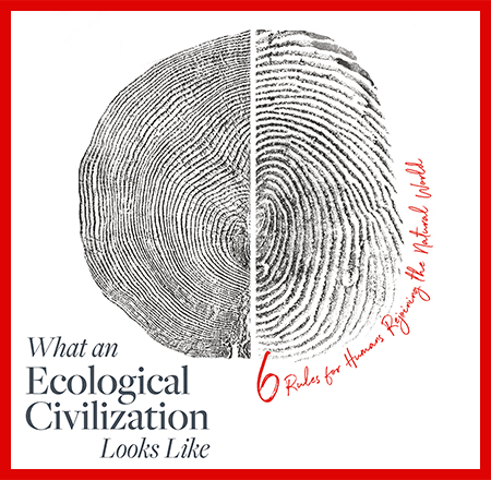 WHAT DOES AN ECOLOGICAL CIVILIZATION LOOK LIKE?